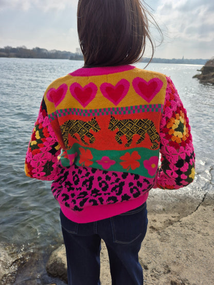Pull Cheetah