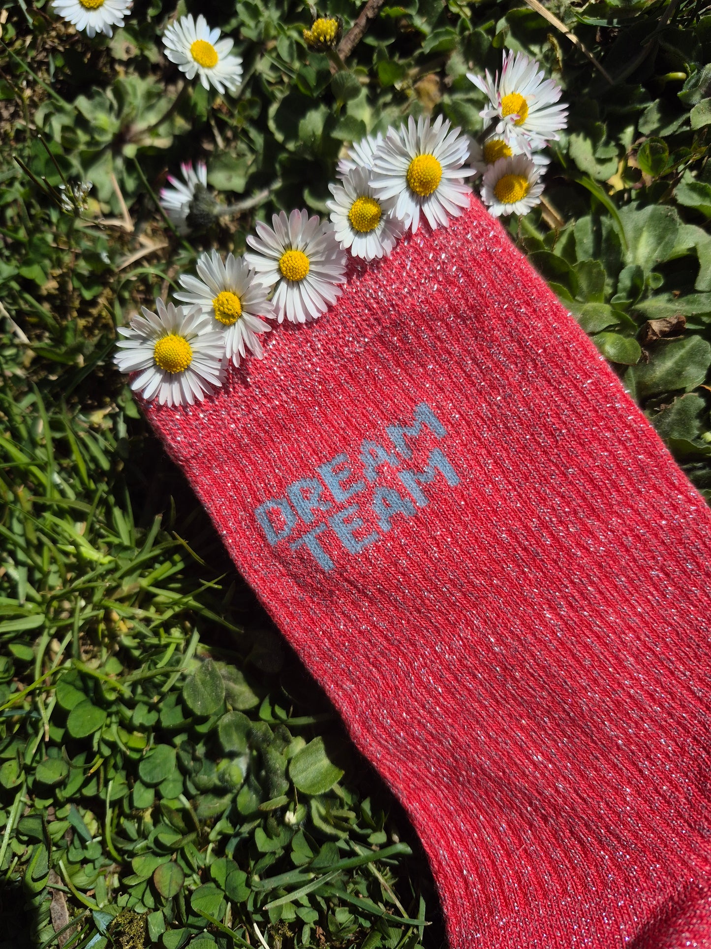 Chaussettes José