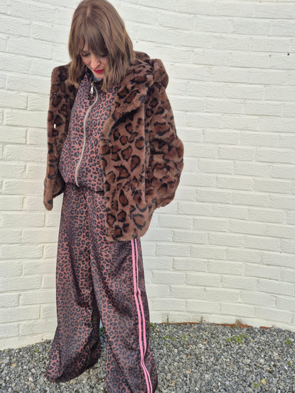 Veste Brownie